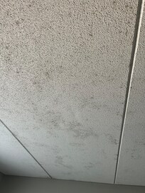 Moldy ceiling