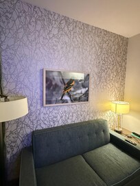 Room was nice, but sofa had stains.