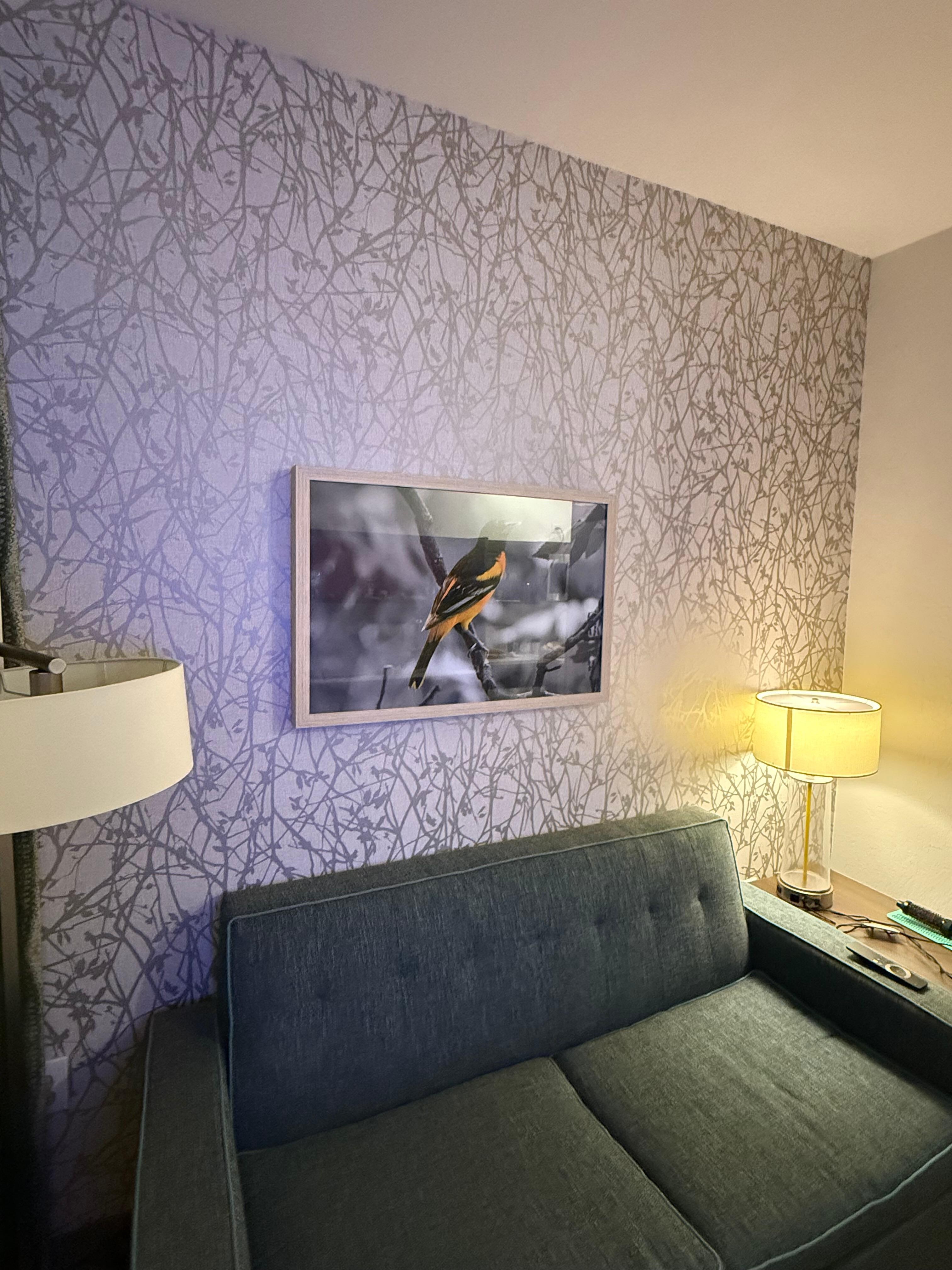Room was nice, but sofa had stains.