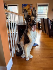 This was my favorite thing about the apartment. It made me so happy to see it when I walk in.