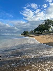 Morning beach walk