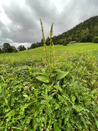 Naturaleza a un paso