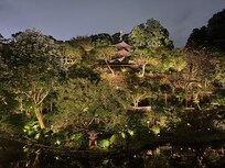 Nighttime view of the garden.