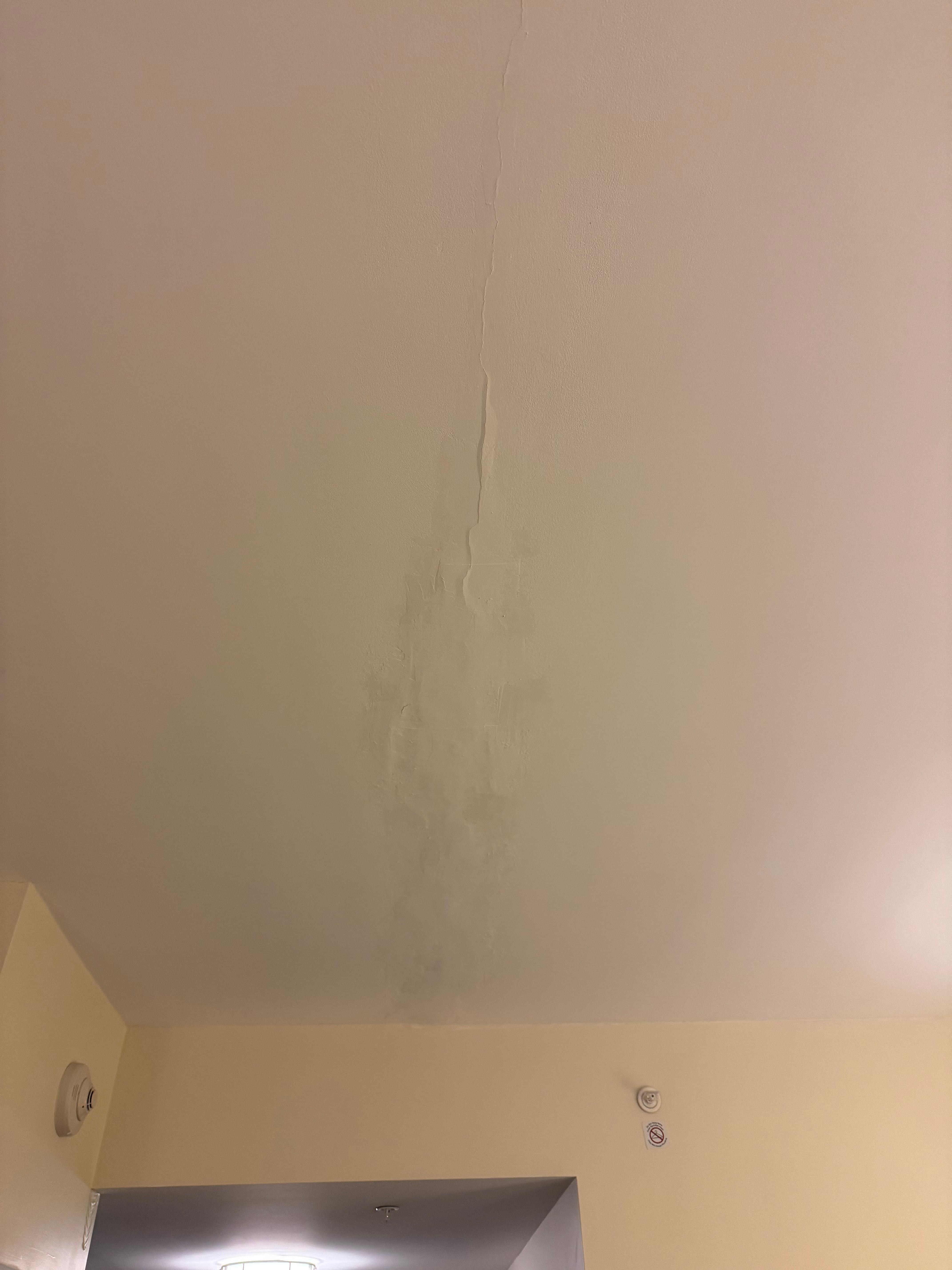Leak damaged ceiling