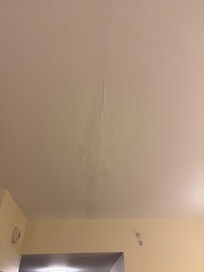 Leak damaged ceiling