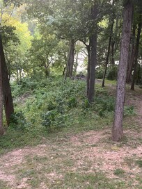 Fire pit in the woods