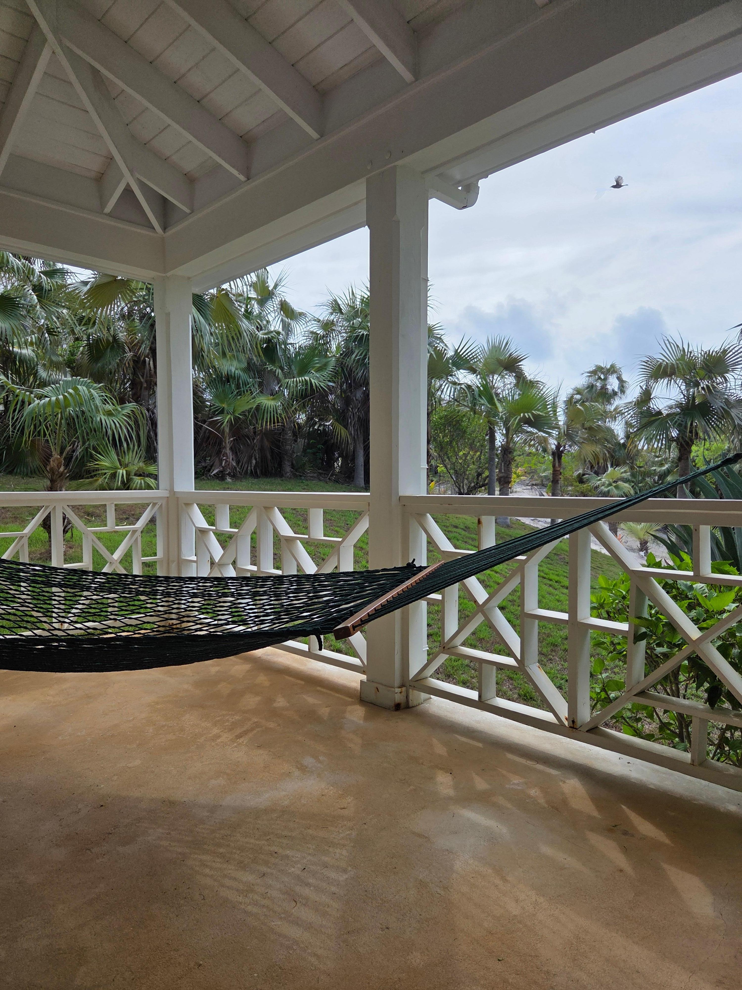 View during morning coffee on the porch