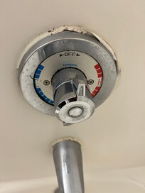 There was mold around the tub.