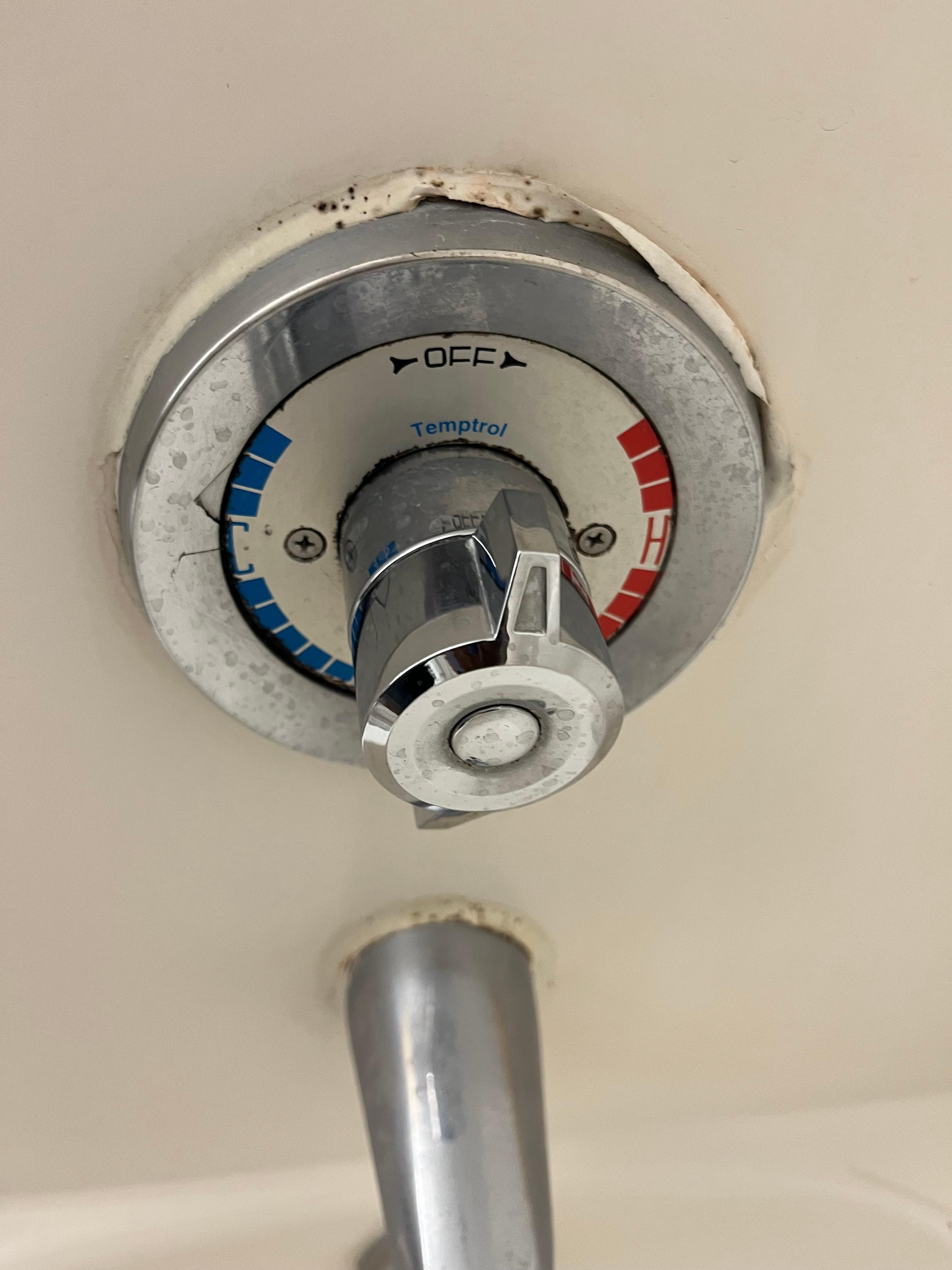 There was mold around the tub.