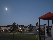 One of the playgrounds with an owl perched there.