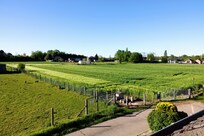 Uitzicht vanuit het dakraam.