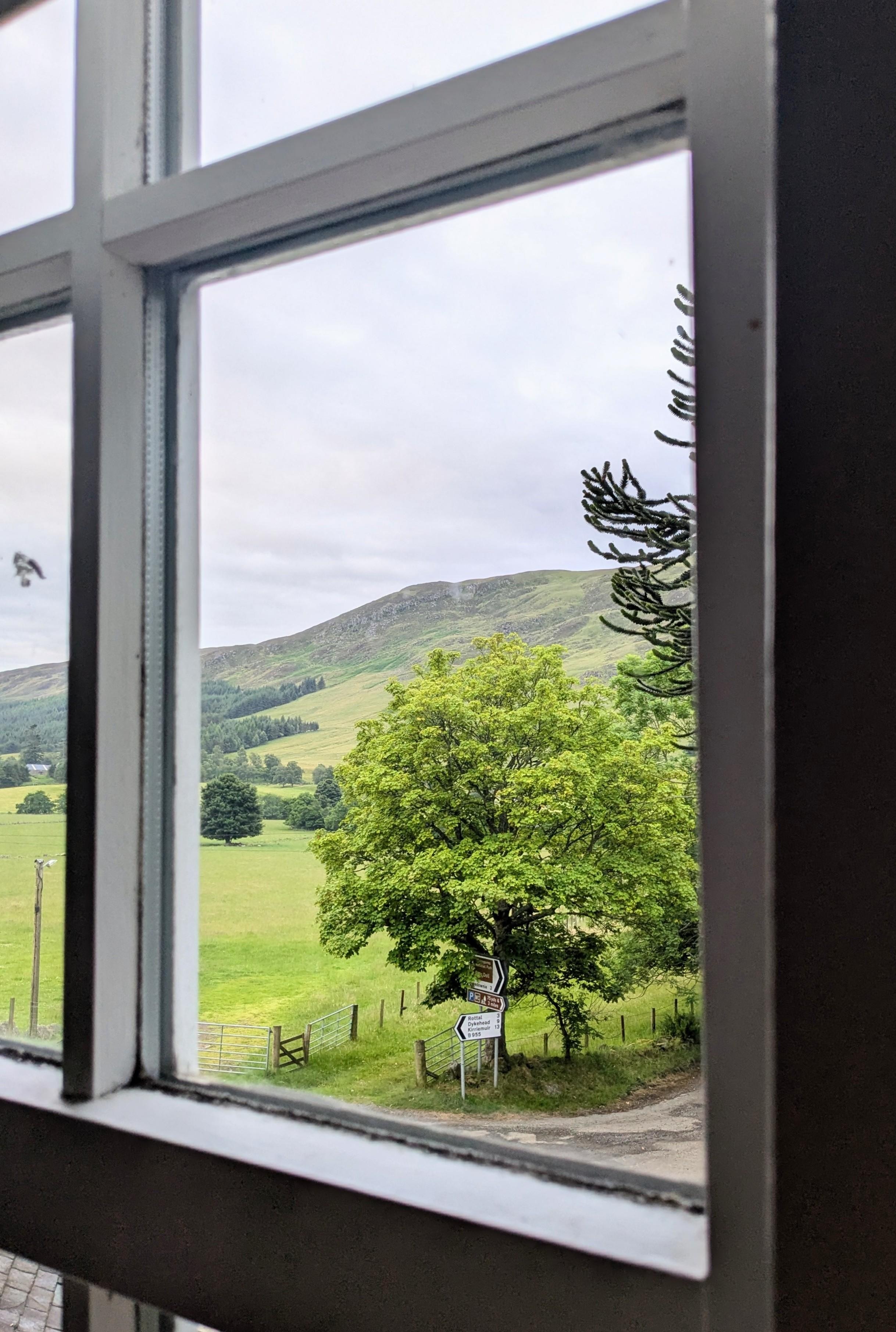 View from our window