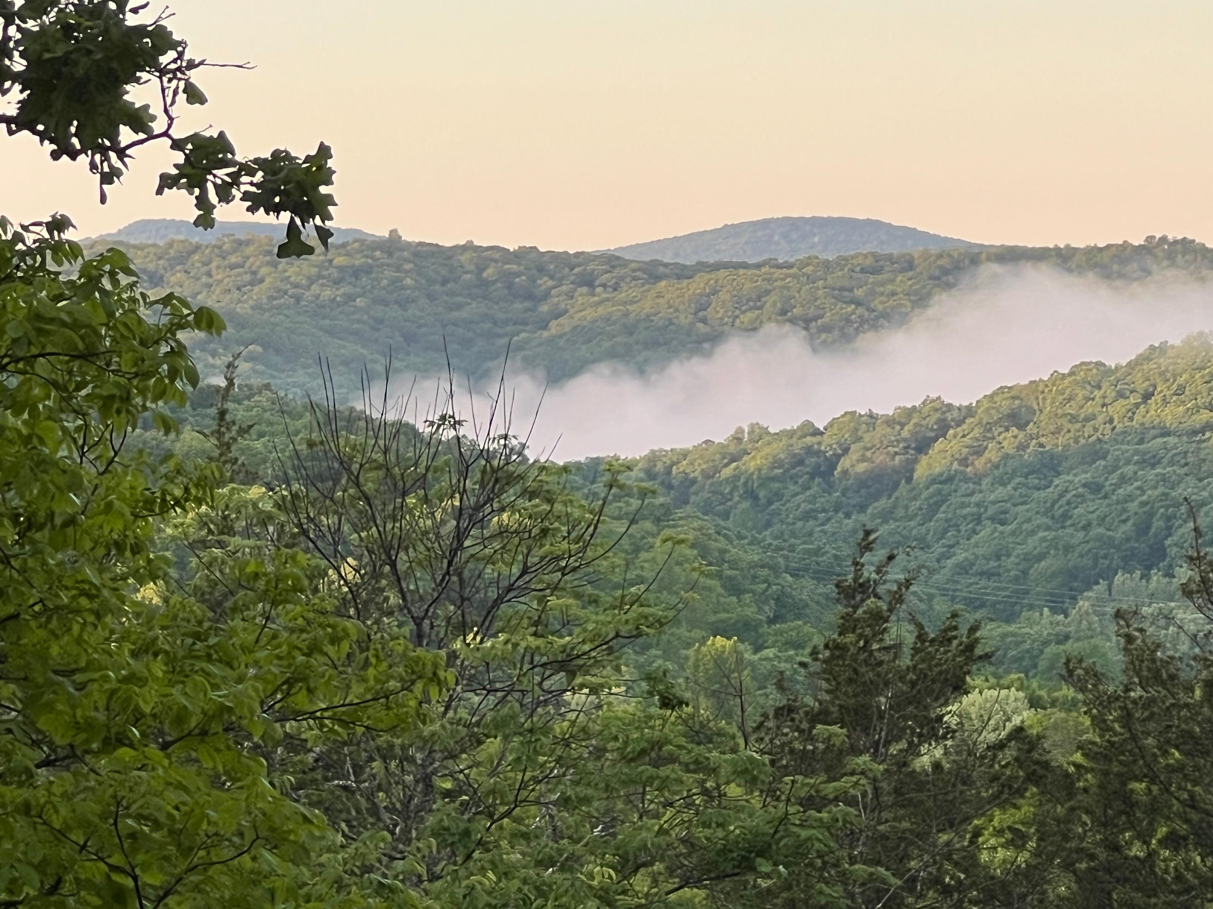 Early morning sitting on the back porch.