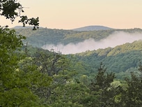 Early morning sitting on the back porch.