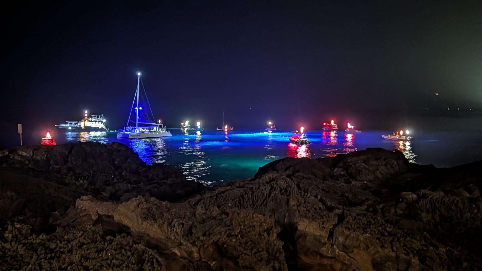 Manta Ray divers