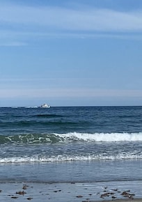 Beach Day 3