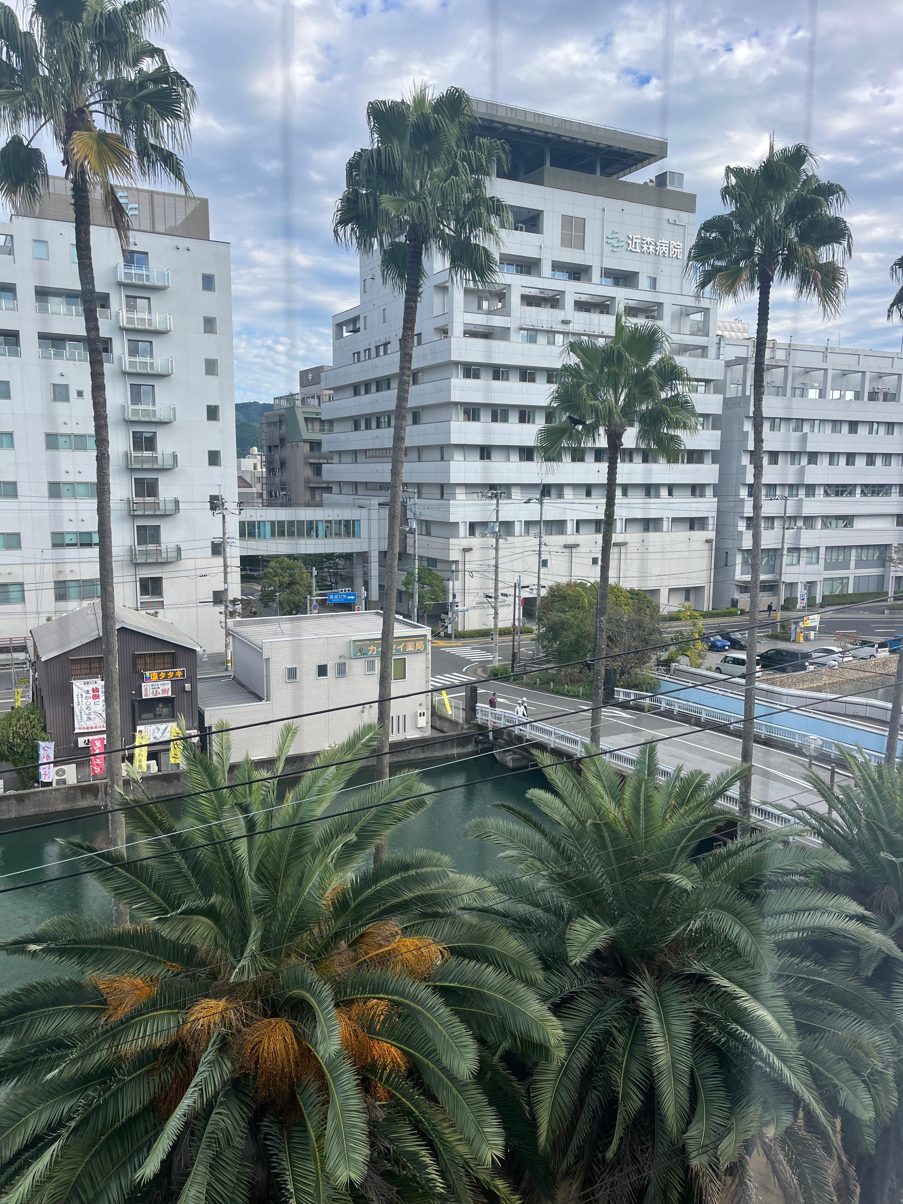 窓から見た風景