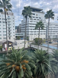 窓から見た風景