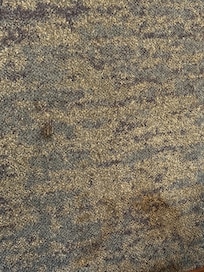 Soiled carpet