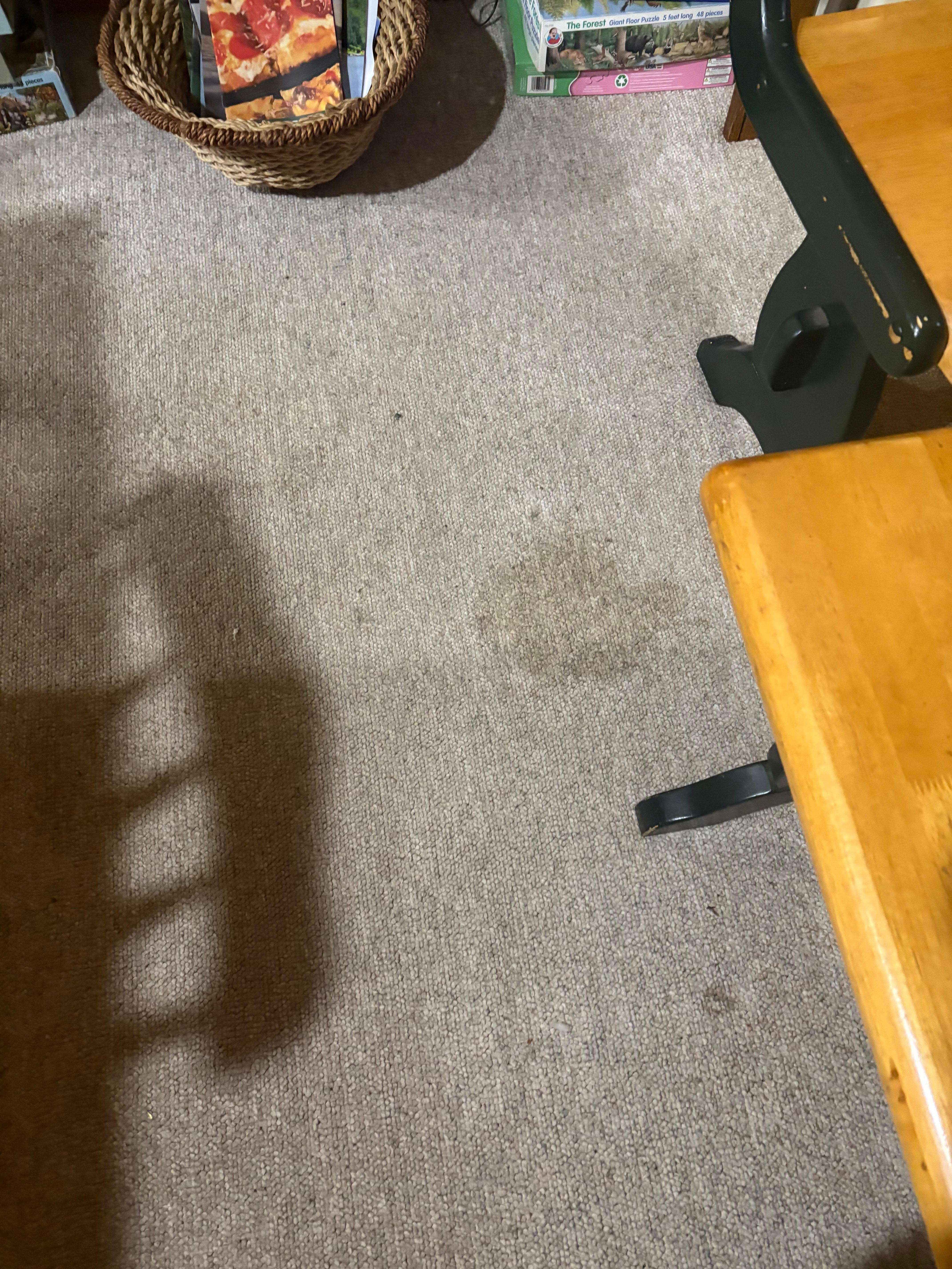 More stained gross carpet 