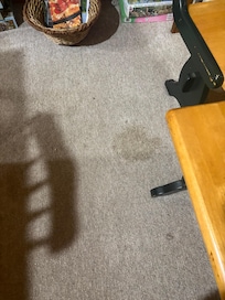 More stained gross carpet