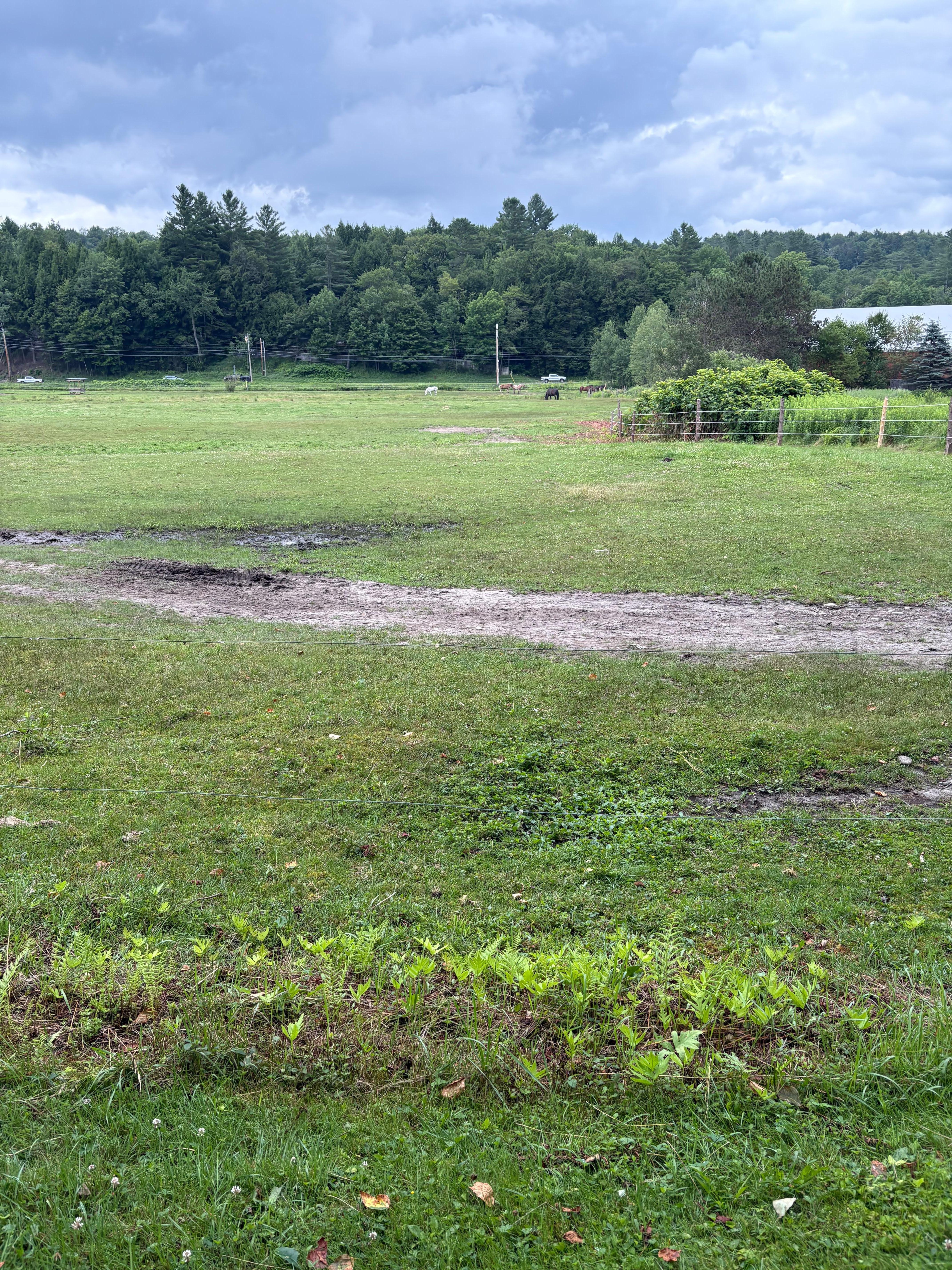 Area around the hotel
