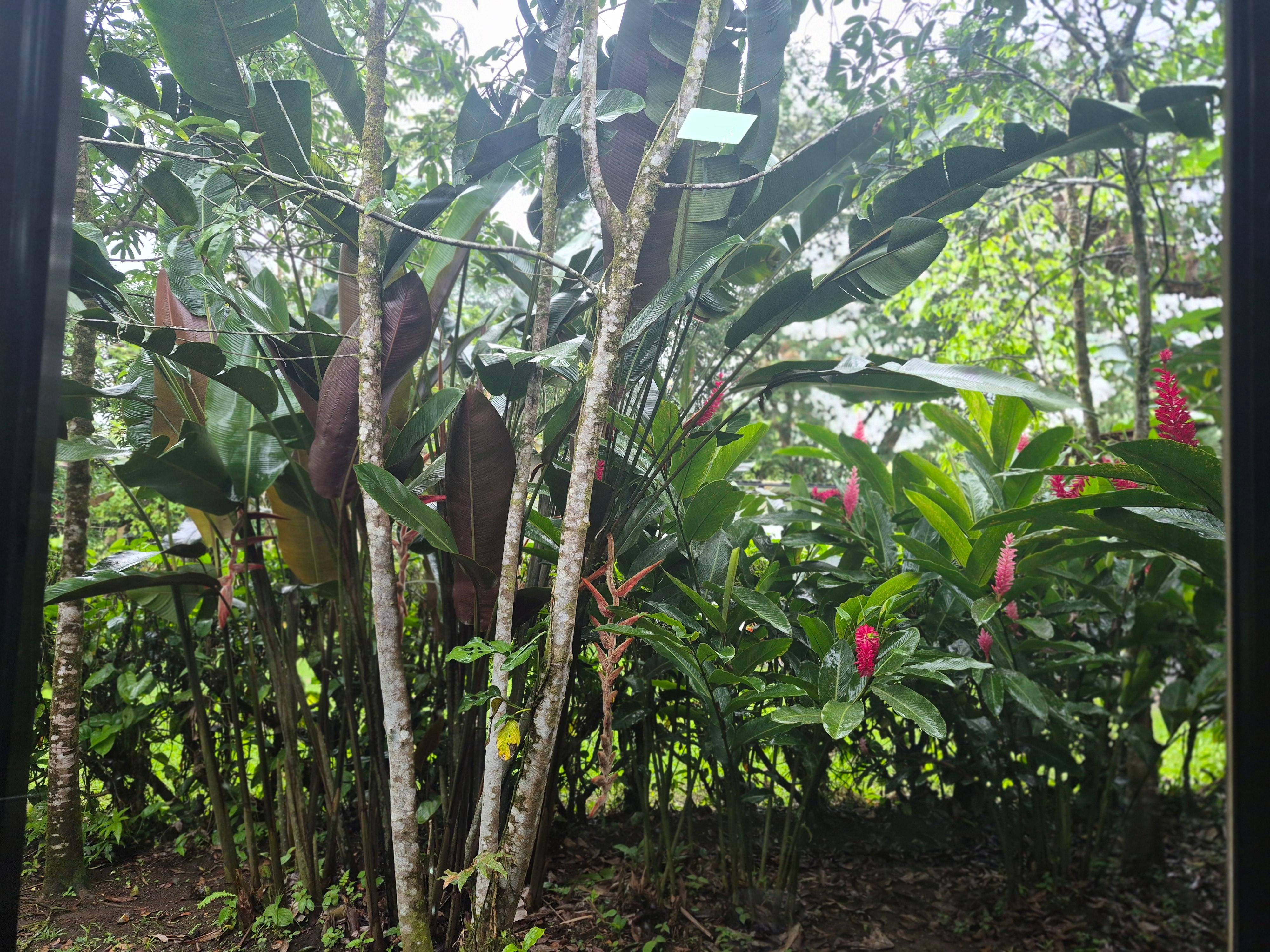 View from kitchen window.
