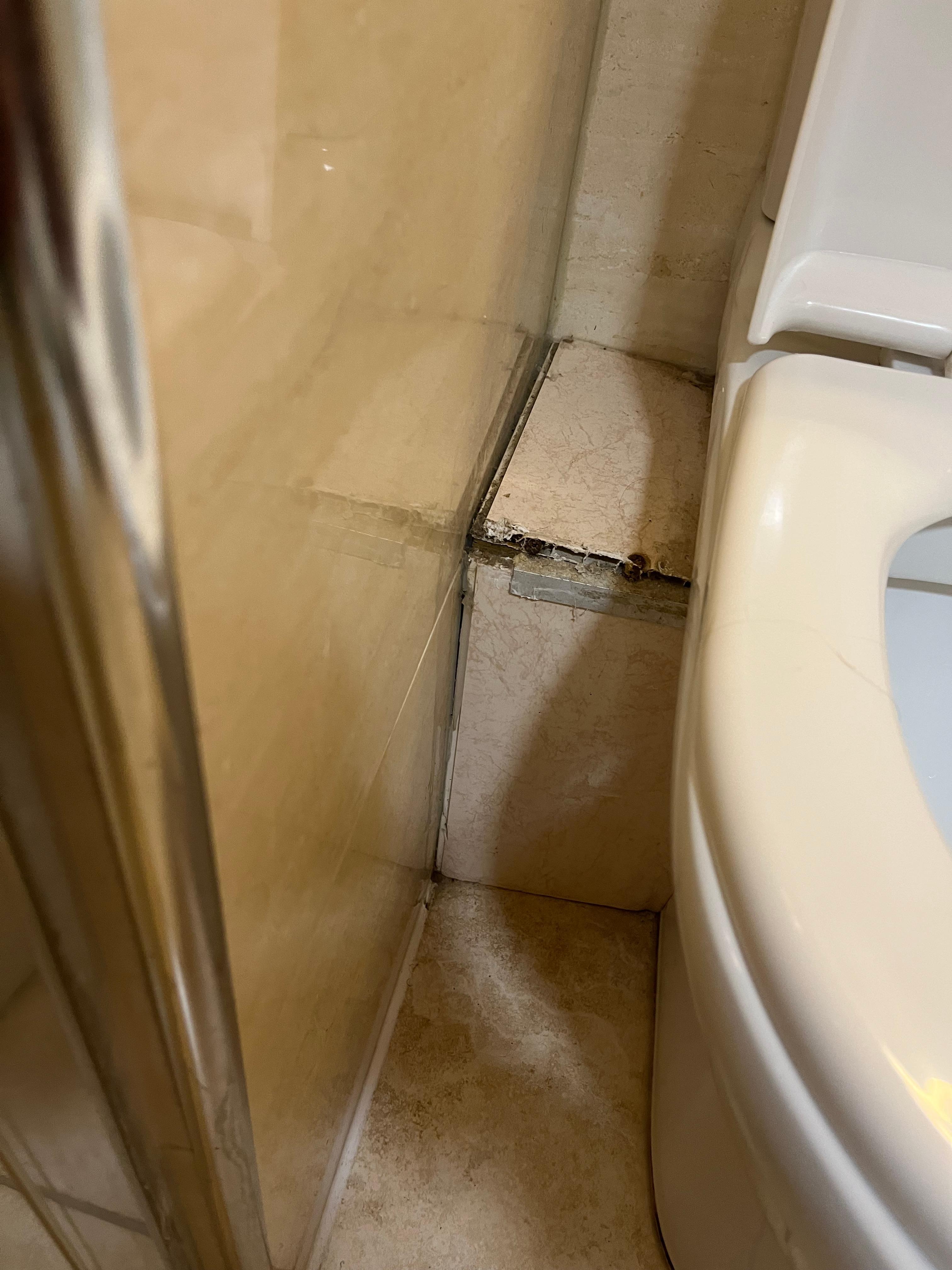 Damaged /dirty shelving