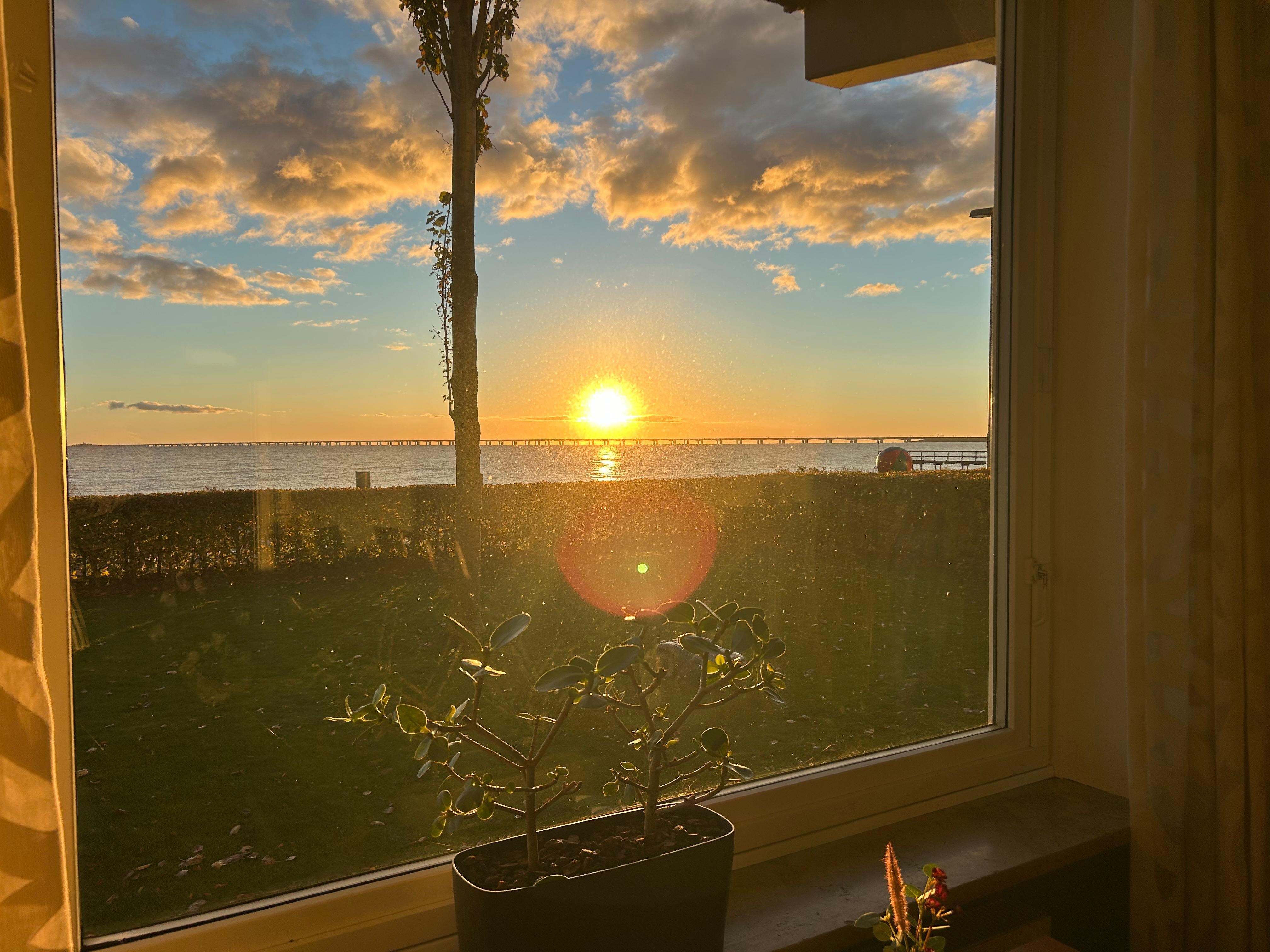 Udsigten fra morgenmaden 