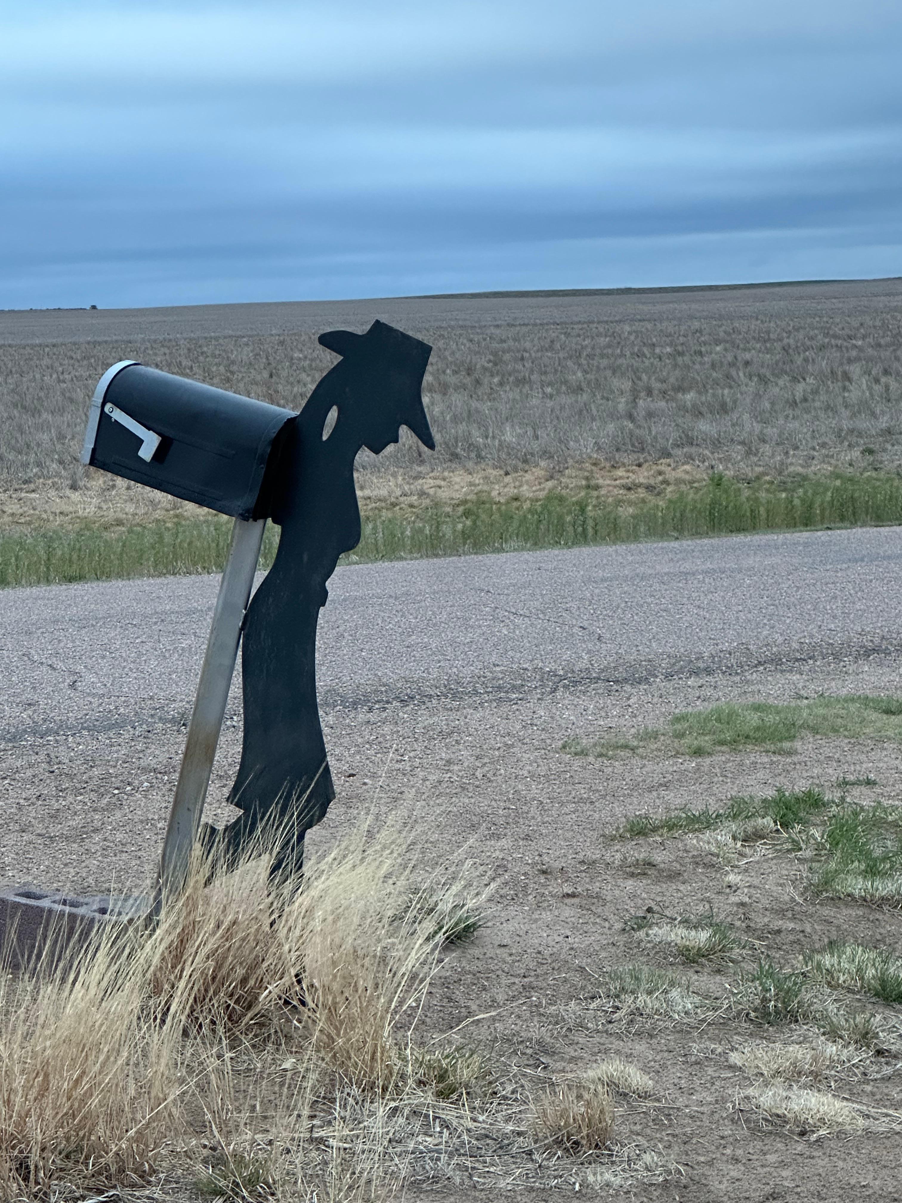 Cowgirl mailbox.