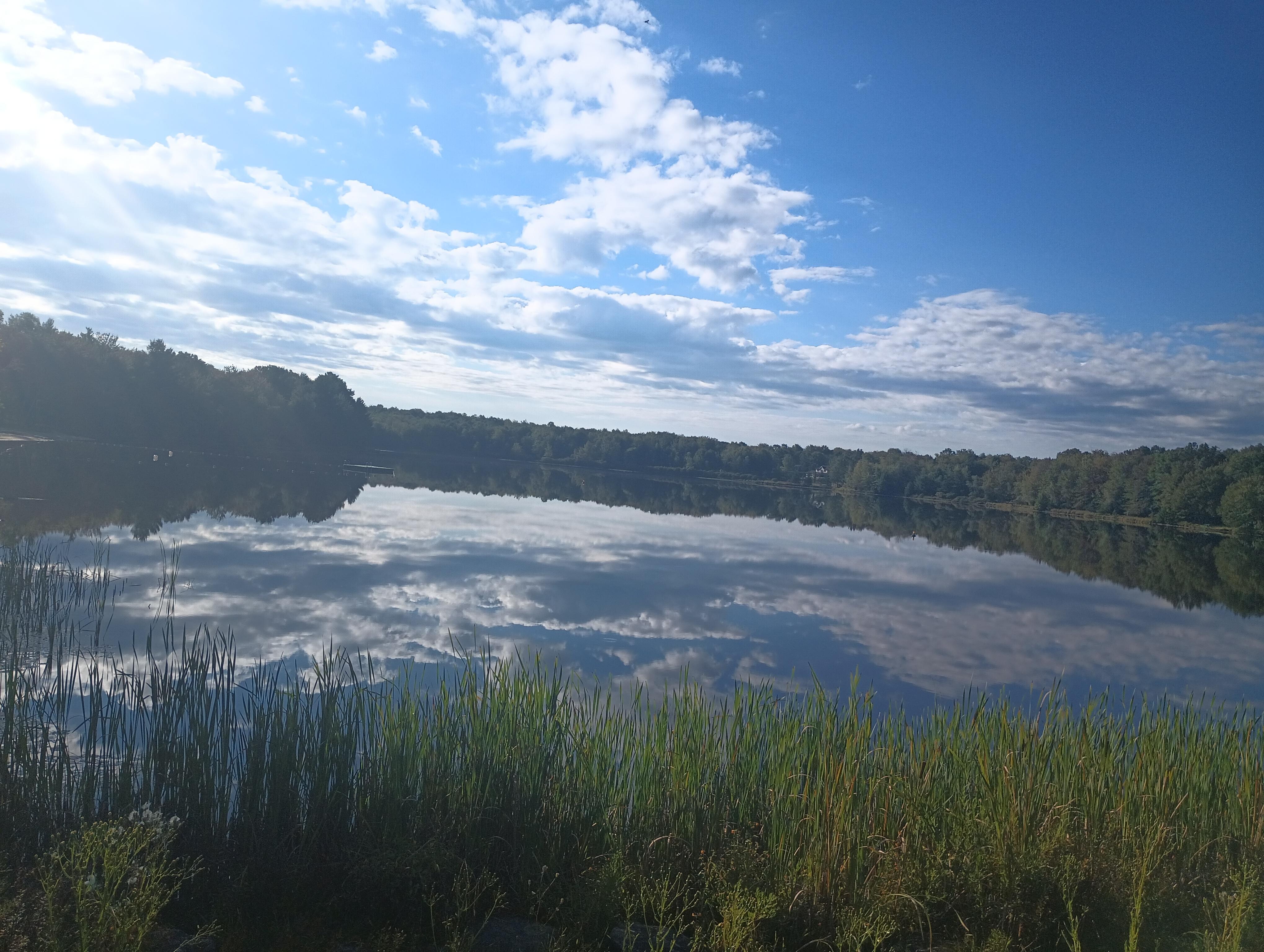 The lake/pond can't tell which but it's the most beautiful thing I've seen so far.
