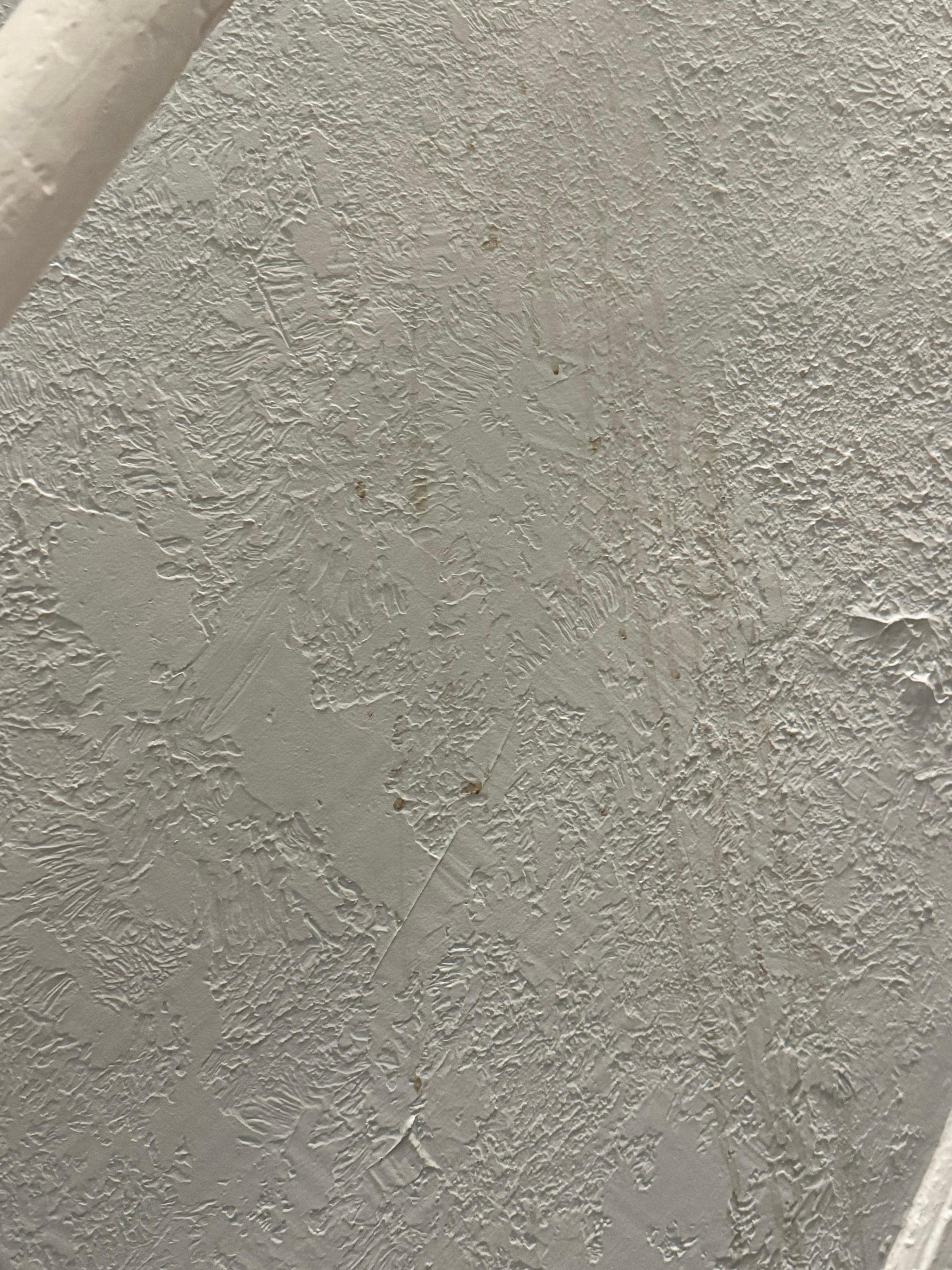 On the stairwell. The home just needs a really deep clean