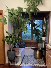 Breakfast nook - favorite spot to sip tea and read