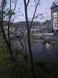 Creek view