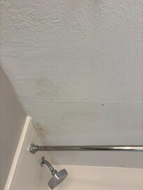 Mold on ceiling