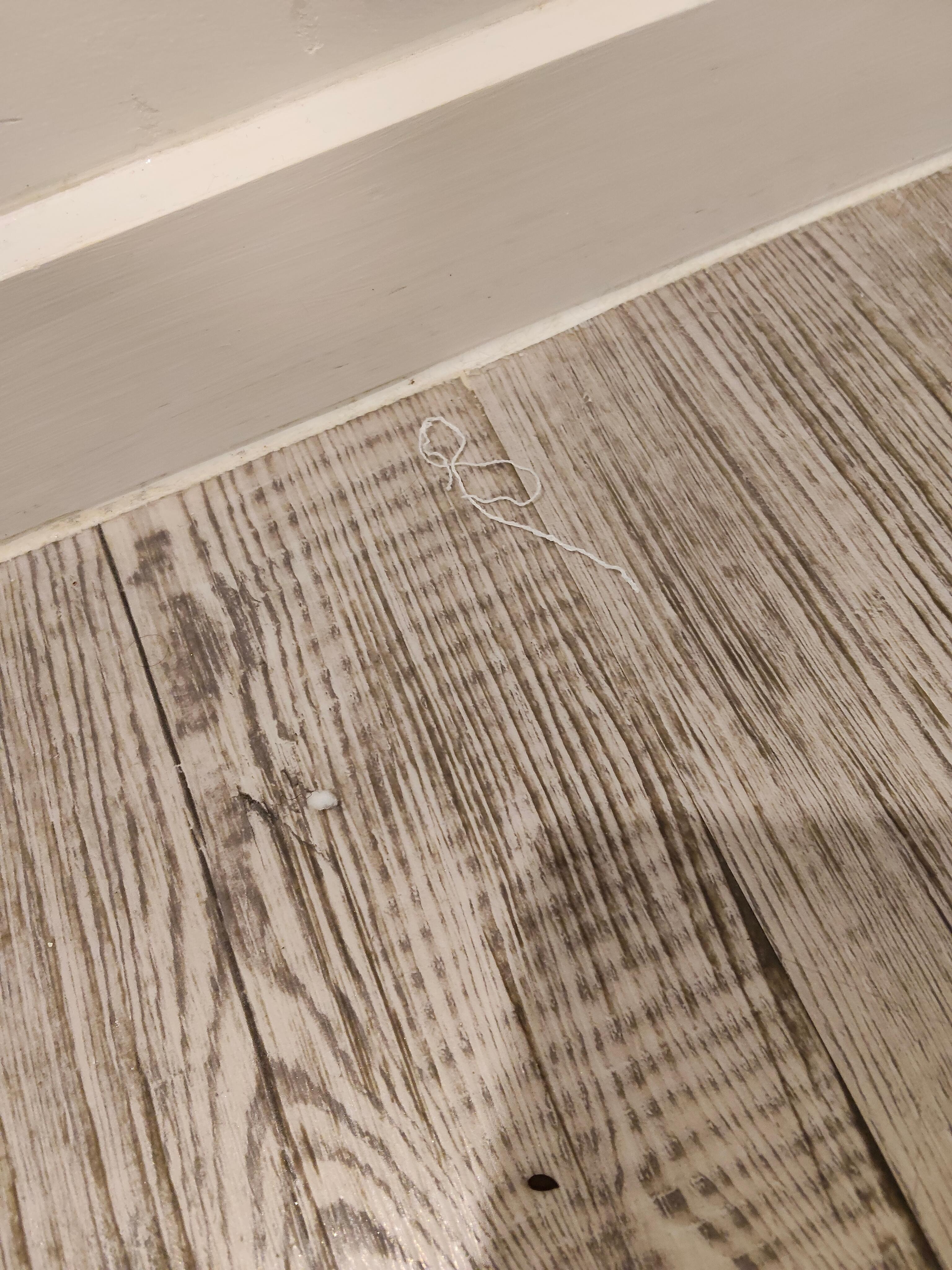 The bathroom hadn't been vacuumed or mopped. I stepped on some small white ball and from there, saw the floor wasn't clean, then the shower. 