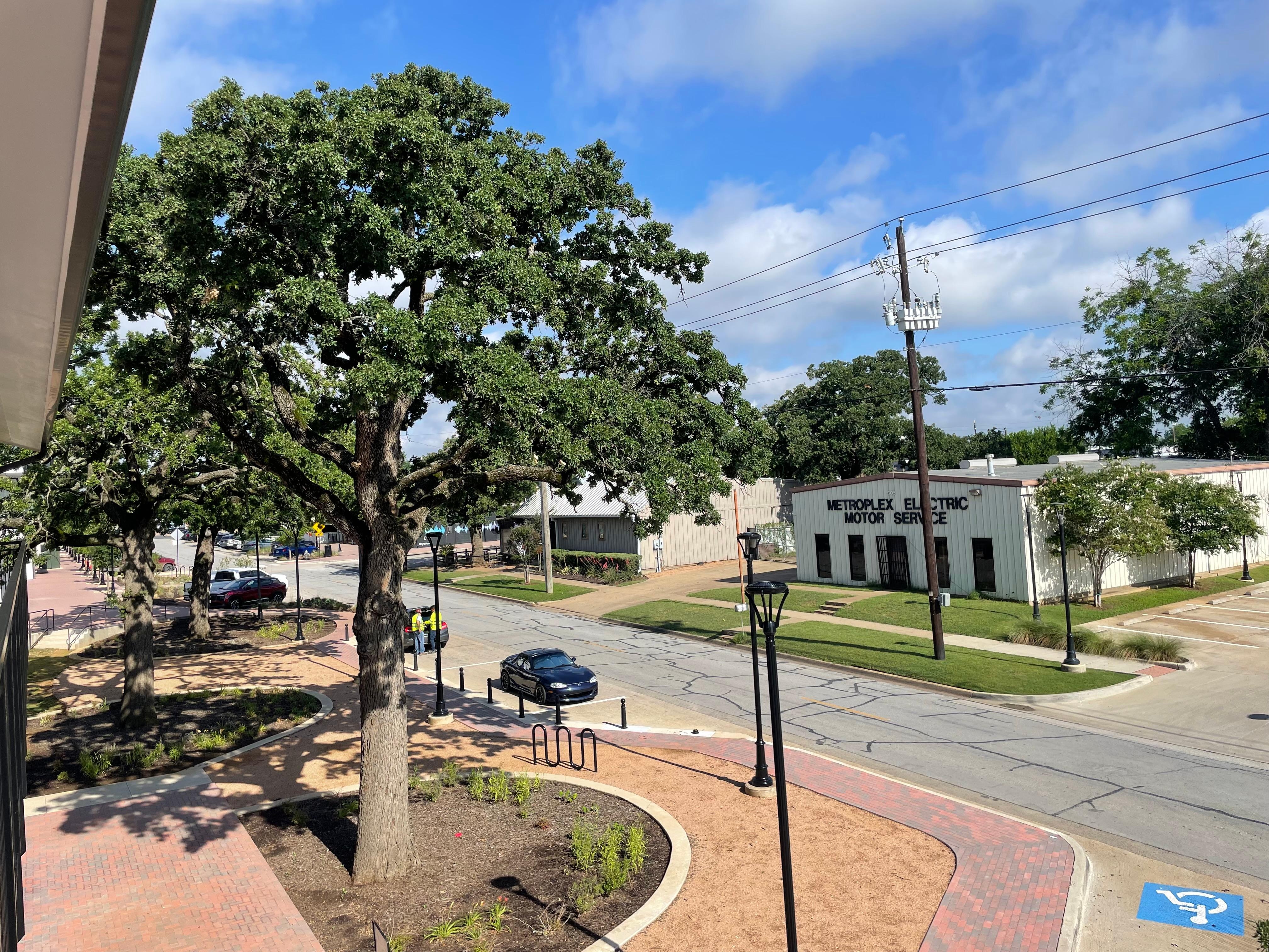 Tipsy Oak