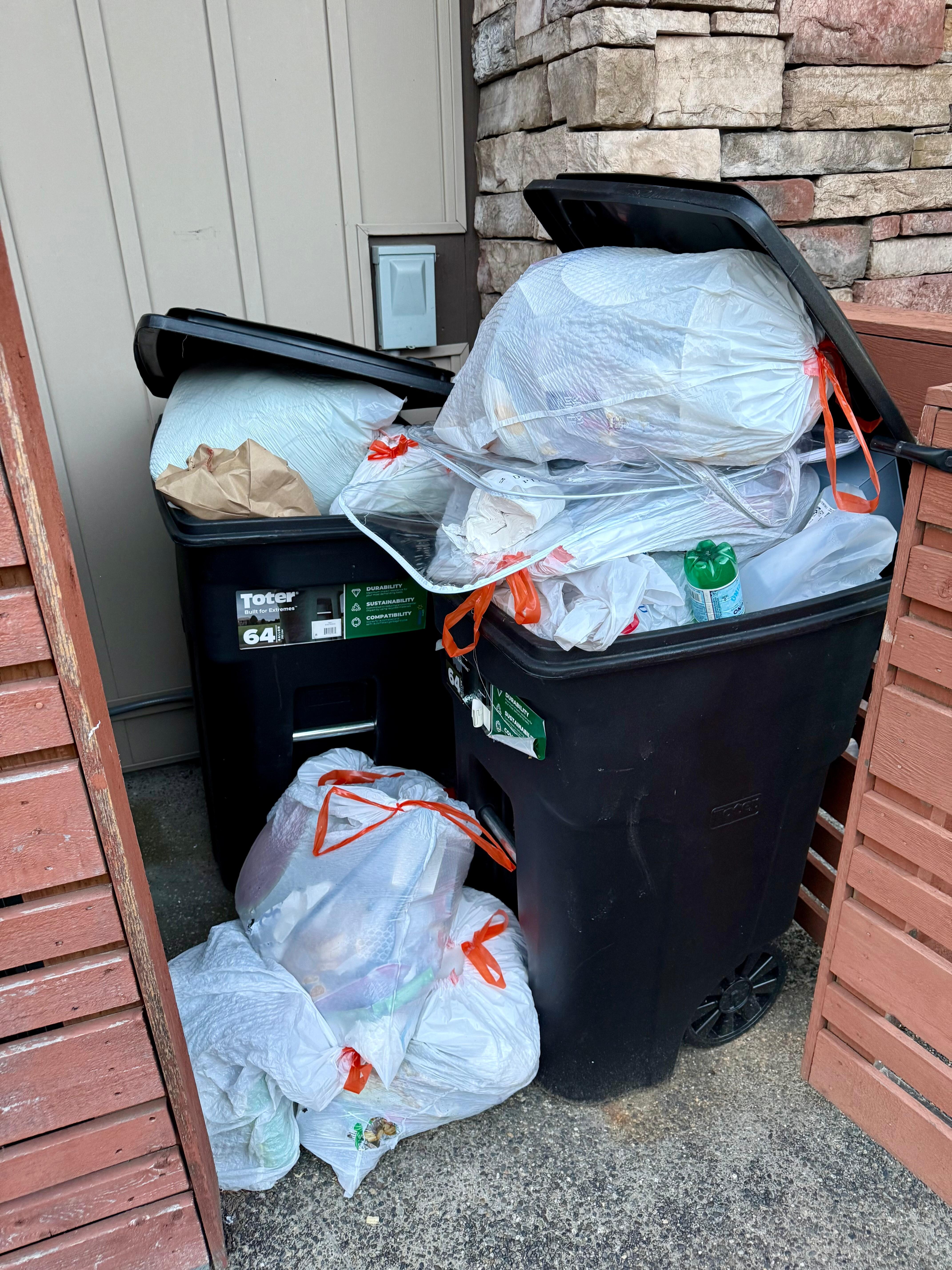 Overflowing garbage outside (you can see on the ground where rodents were tearing into the bags).