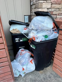 Overflowing garbage outside (you can see on the ground where rodents were tearing into the bags).