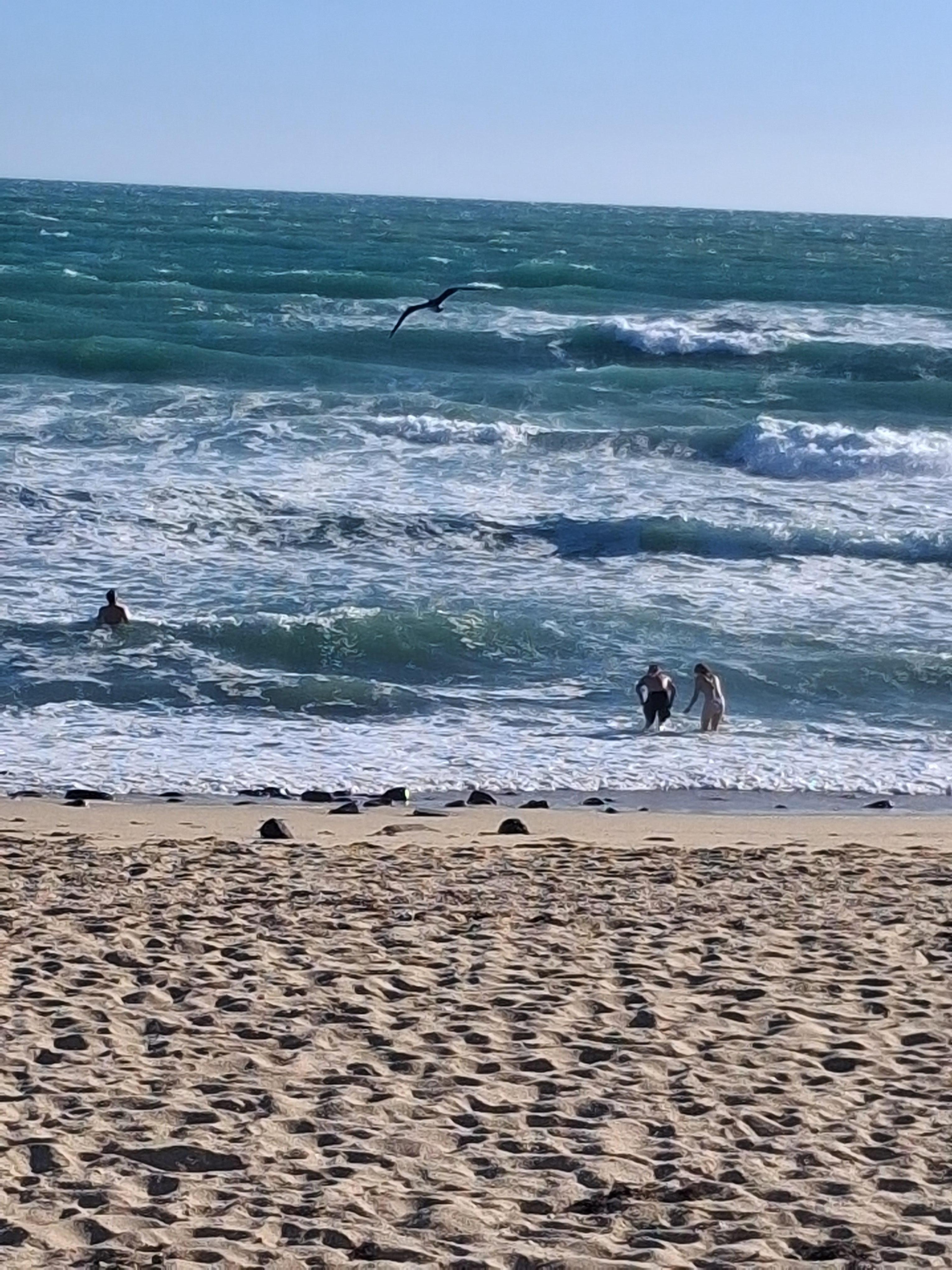 Kids playing on the beach