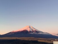客室からの景色 早朝