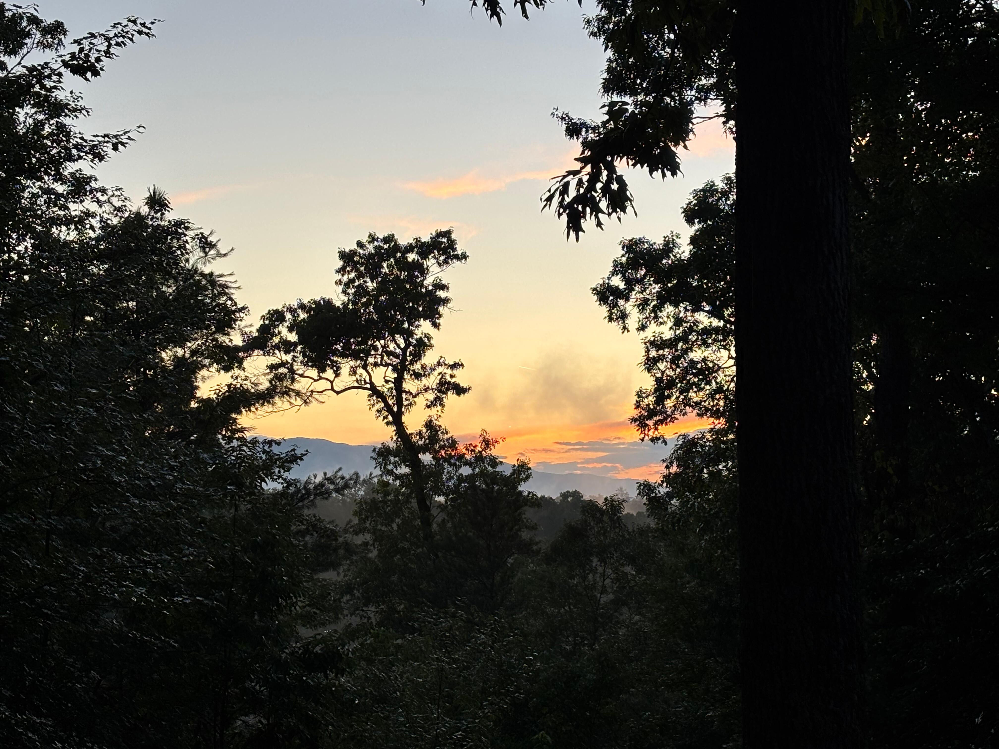 From frond porch of cabin. 