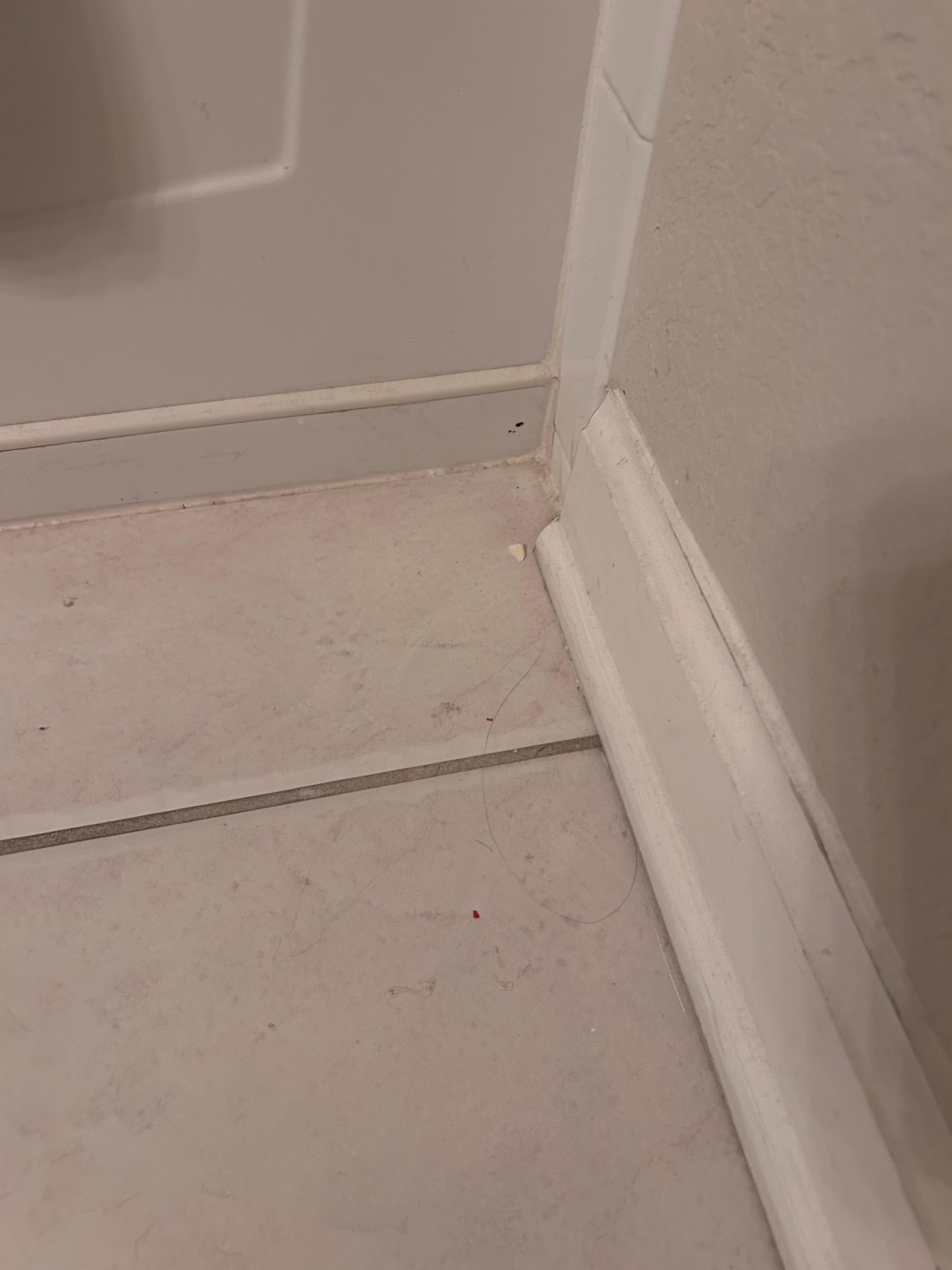 Bathroom floor and trim