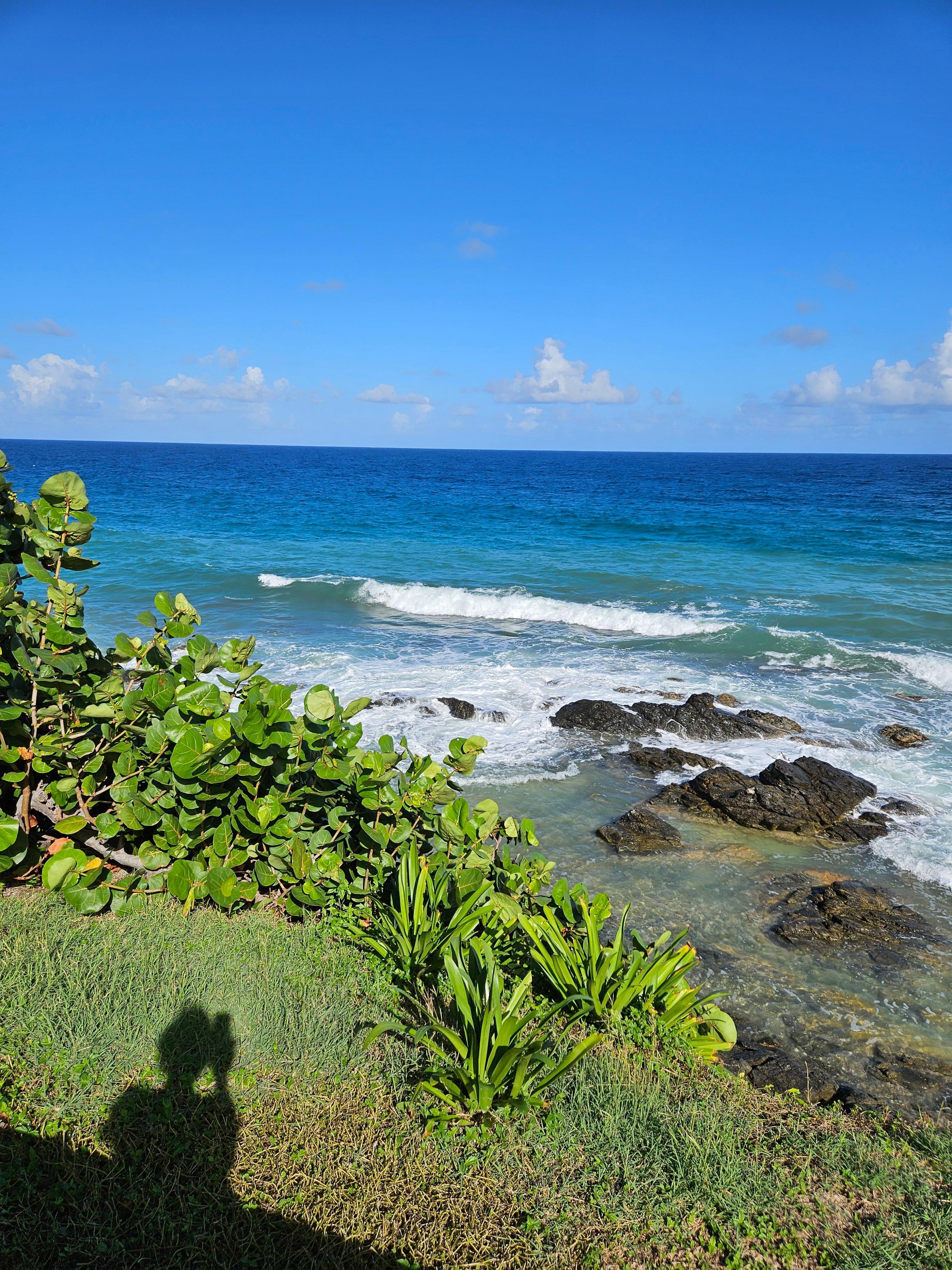 View to the west from the sitting area in the backyard