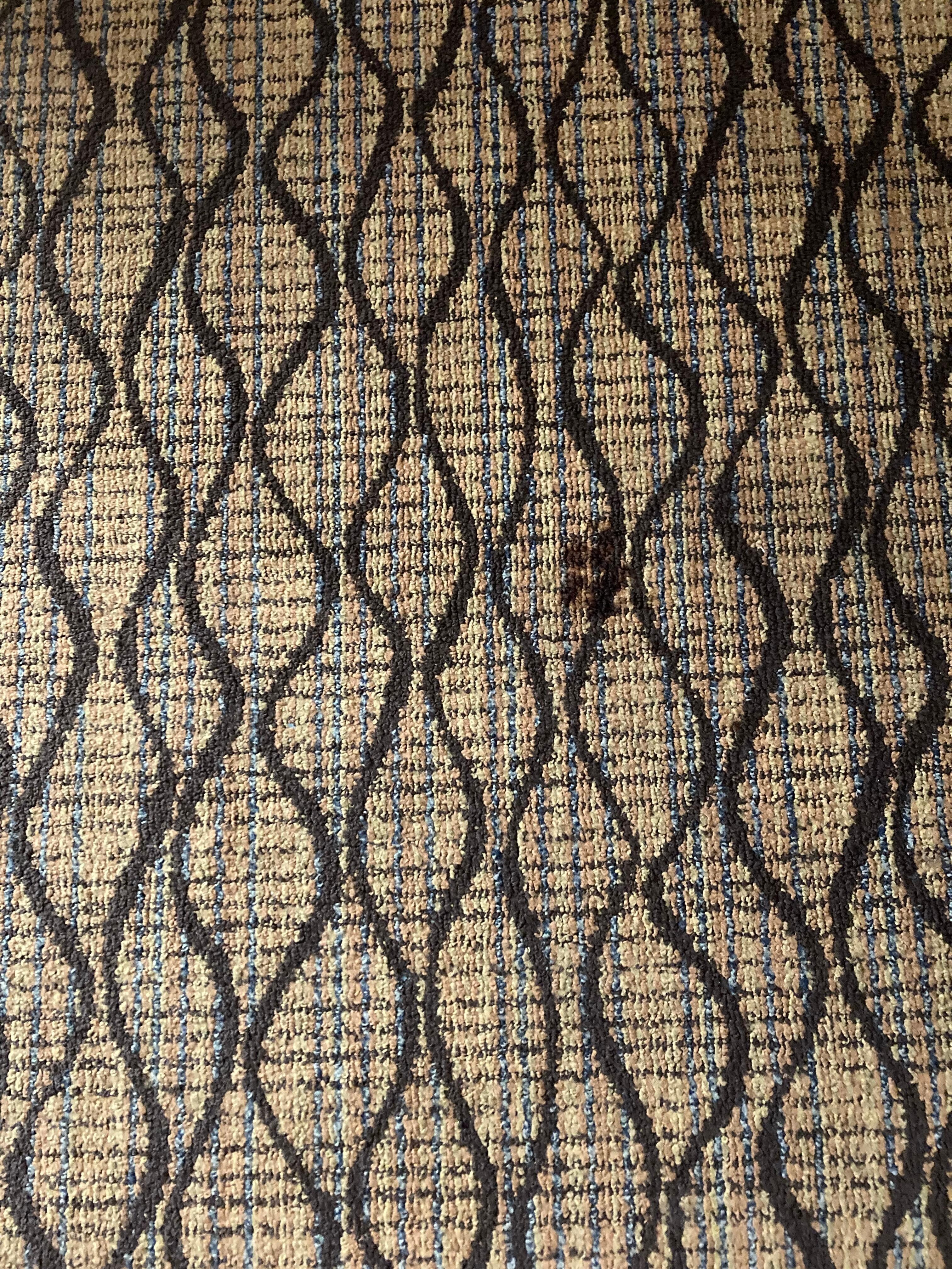 Weird stain on the carpet by the door when we arrived