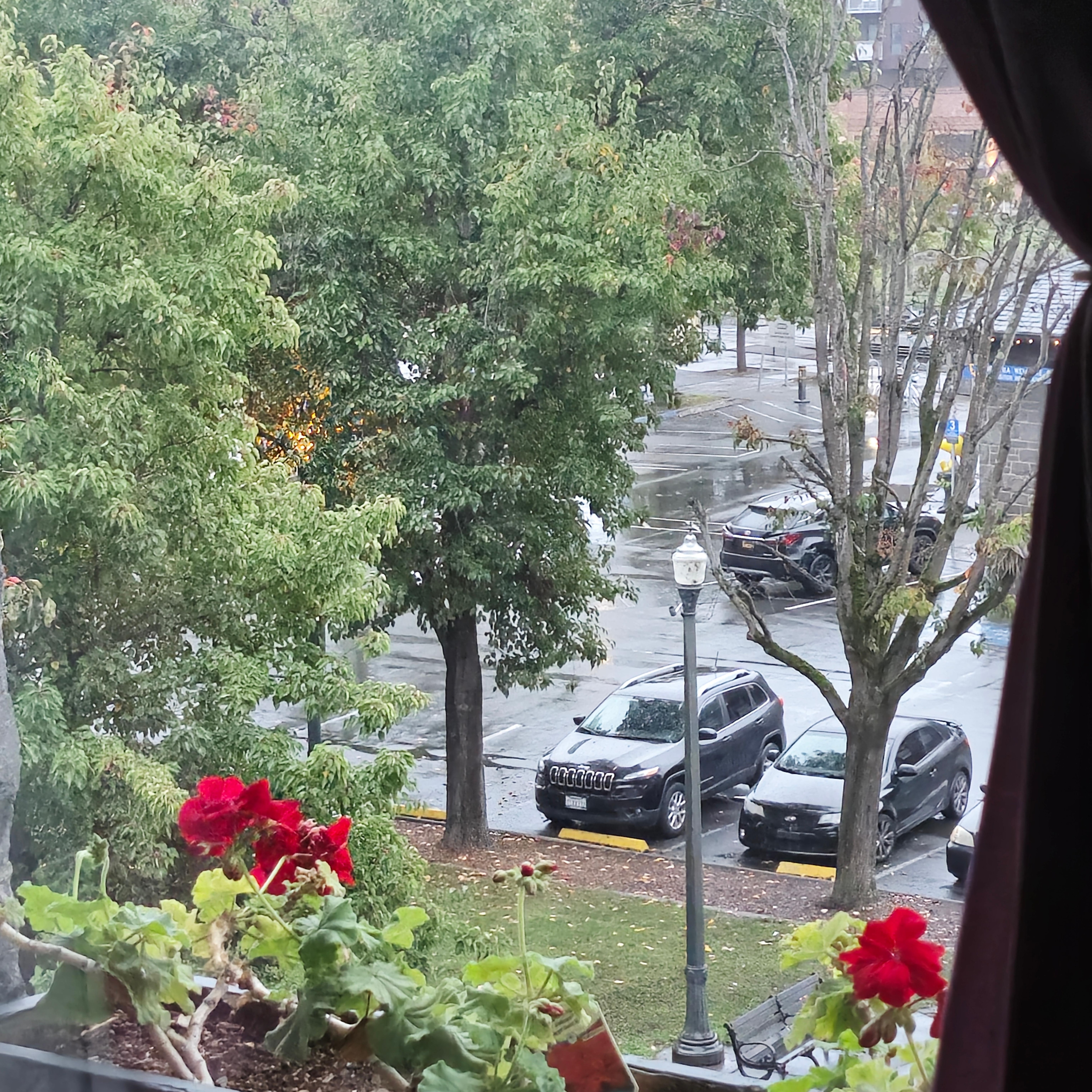 View from junior suite on 3rd floor! Charming and cozy room! The hotel is beautifully decorated for the holidays! There is a wreath on each door!