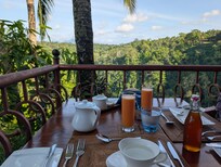 Restaurant table setting