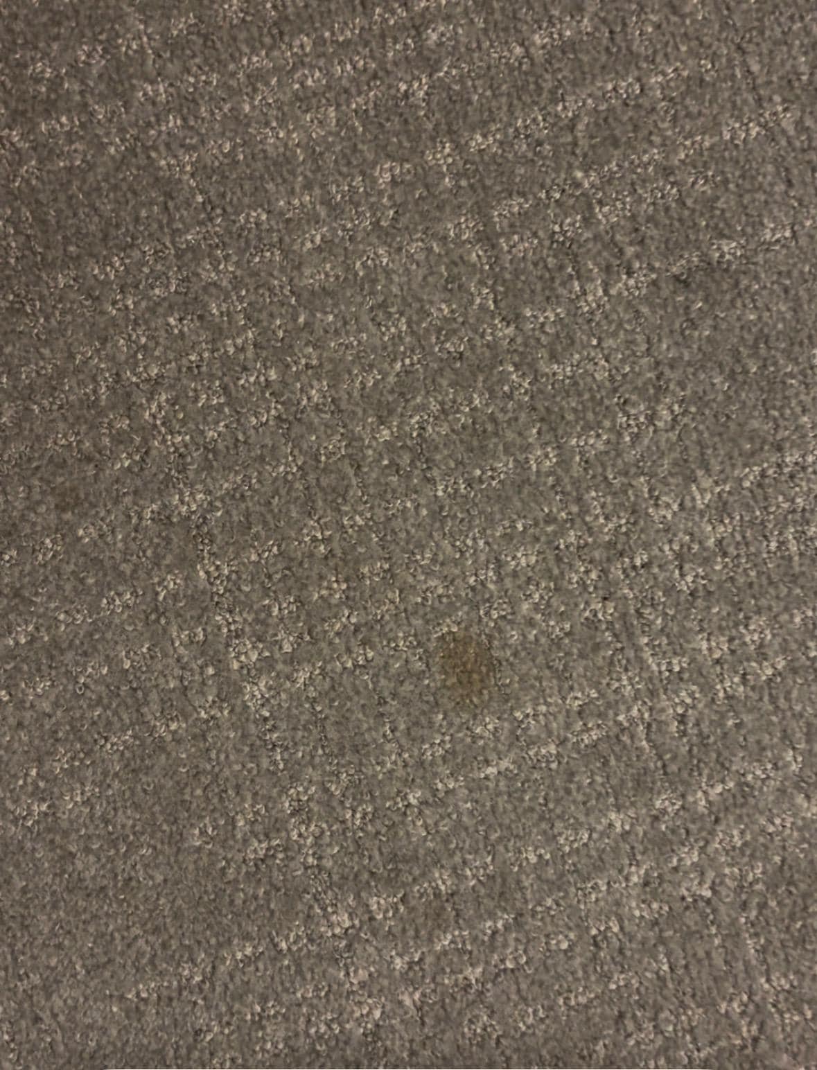 Stain on carpet