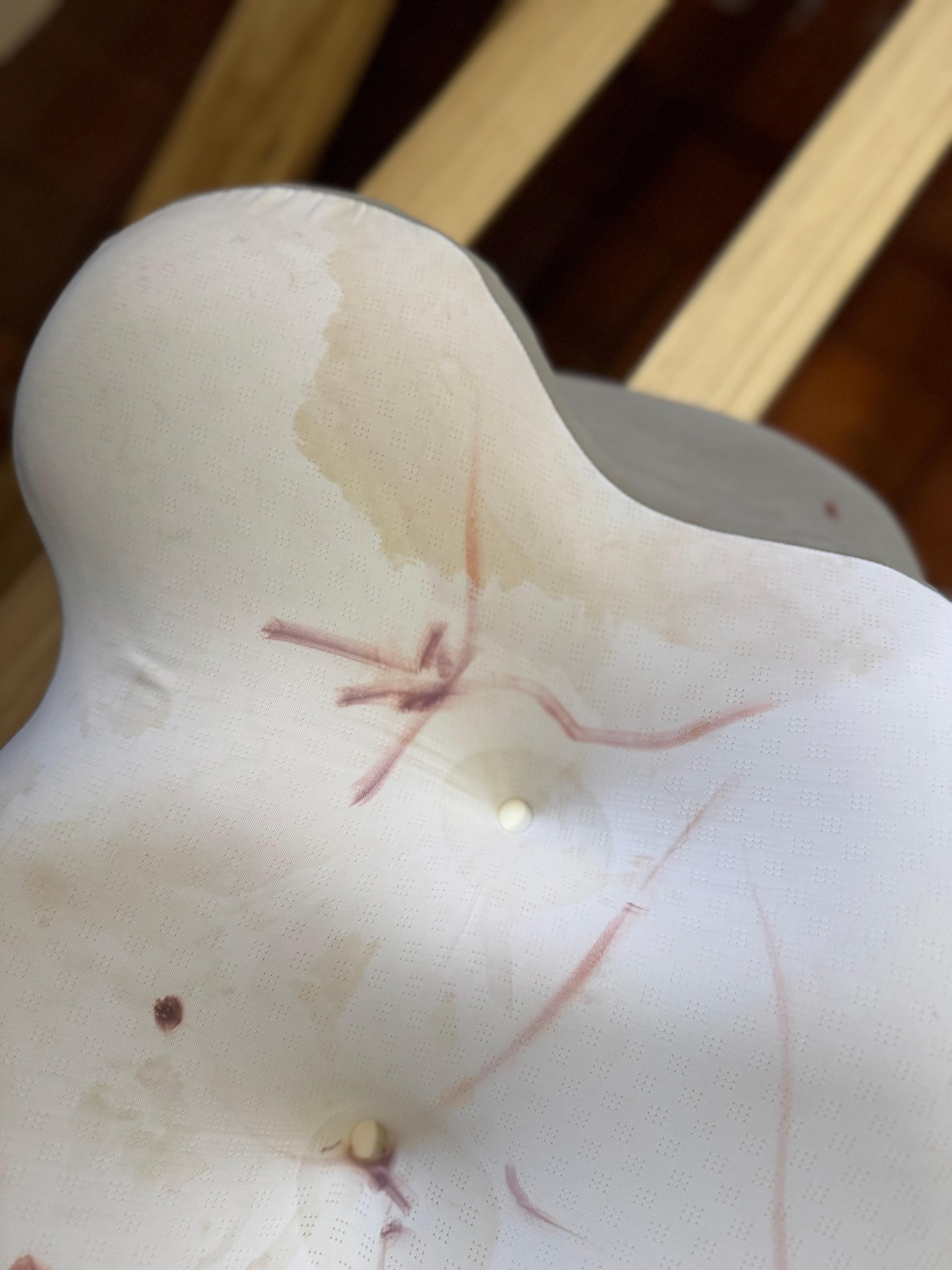 Pillow that I uncovered looking for potential bed bugs