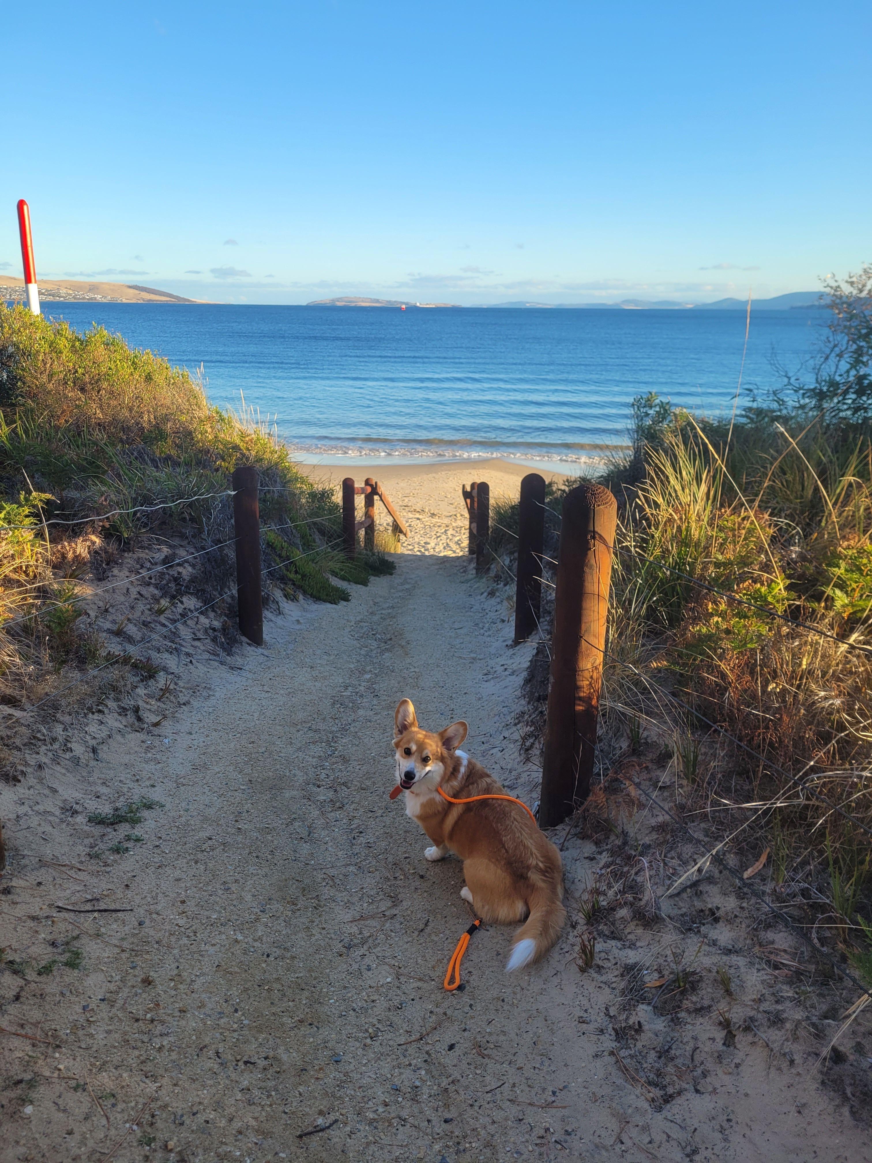 Beach is about 100metres from the unit.